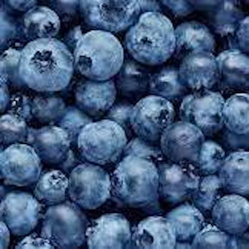 blueberry's pldev dump