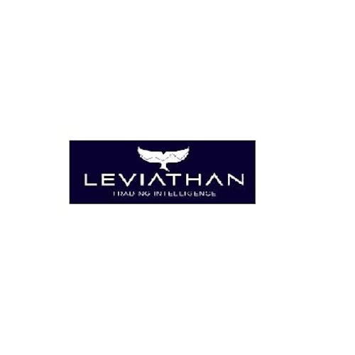 Leviathan Financial Management LLC's photo