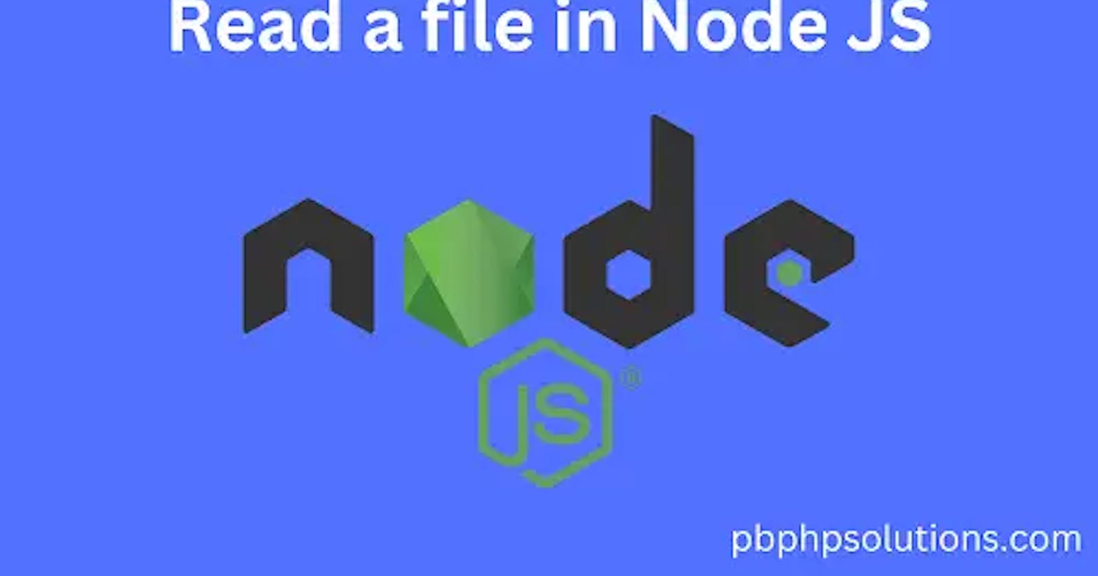 How To Read a file in Node JS