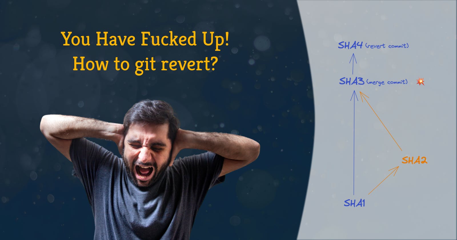 You Have Fucked Up! How to git revert?