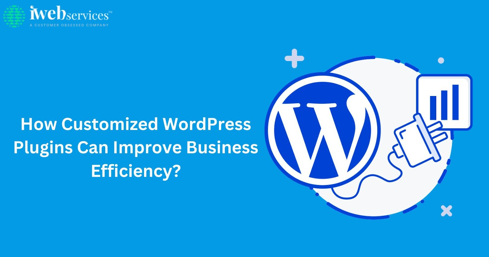 How Customized WordPress Plugins Can Improve Business Efficiency?
