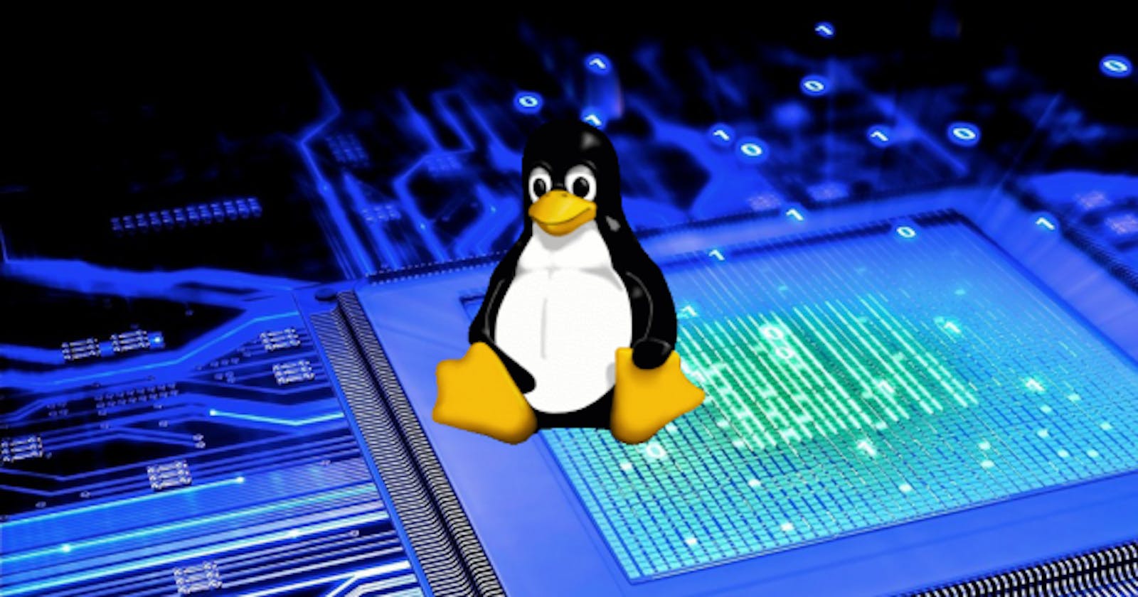 Basic Linux Commands Every Beginner Should Know