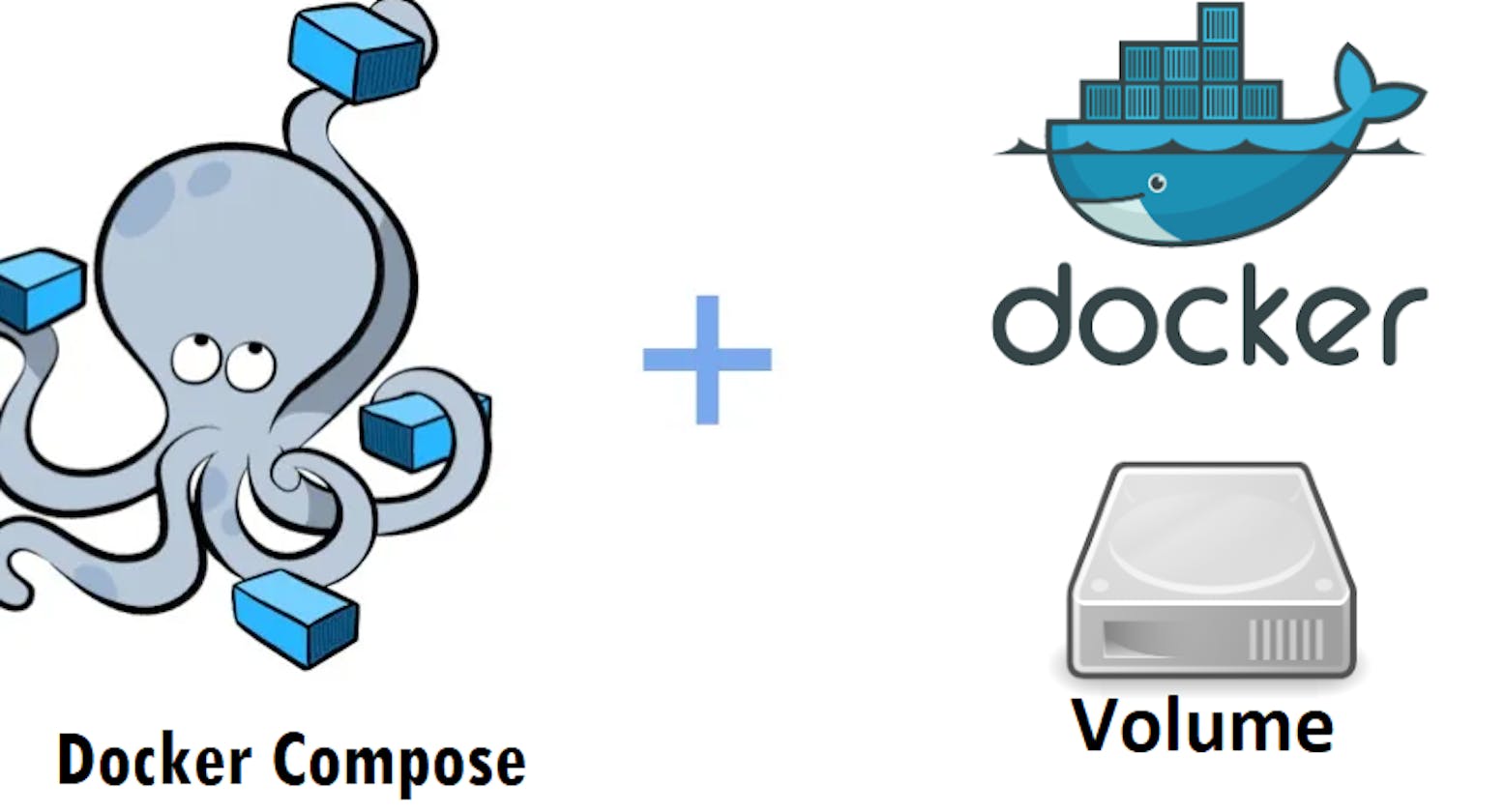 Docker Volume & Docker Compose