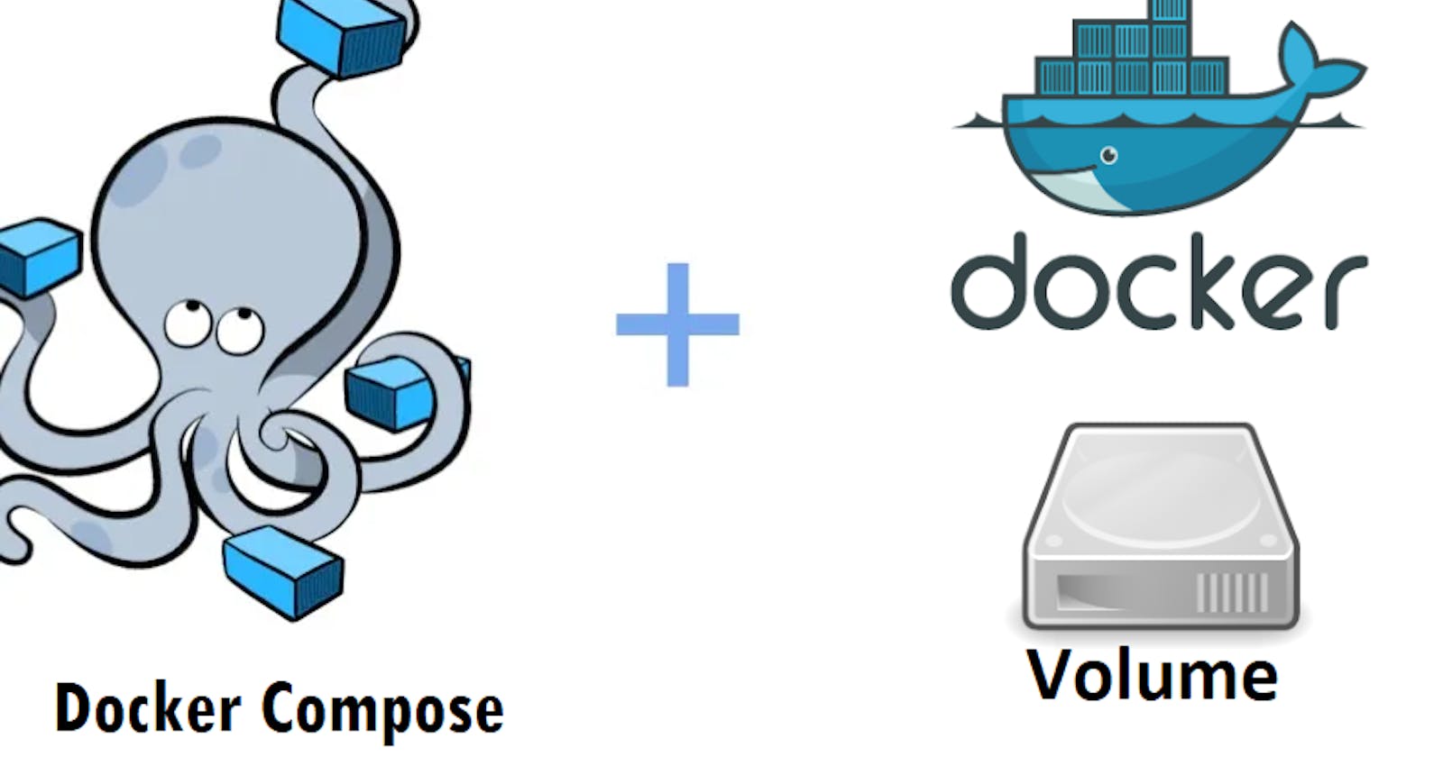 Docker Volume & Docker Compose
