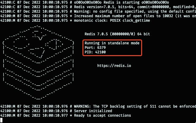 redis-server command on terminal
