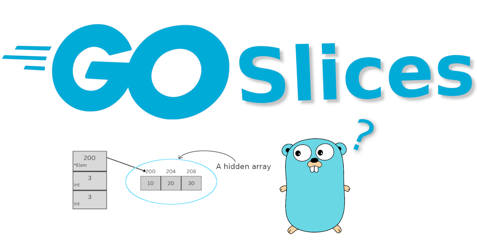 Golang Slices