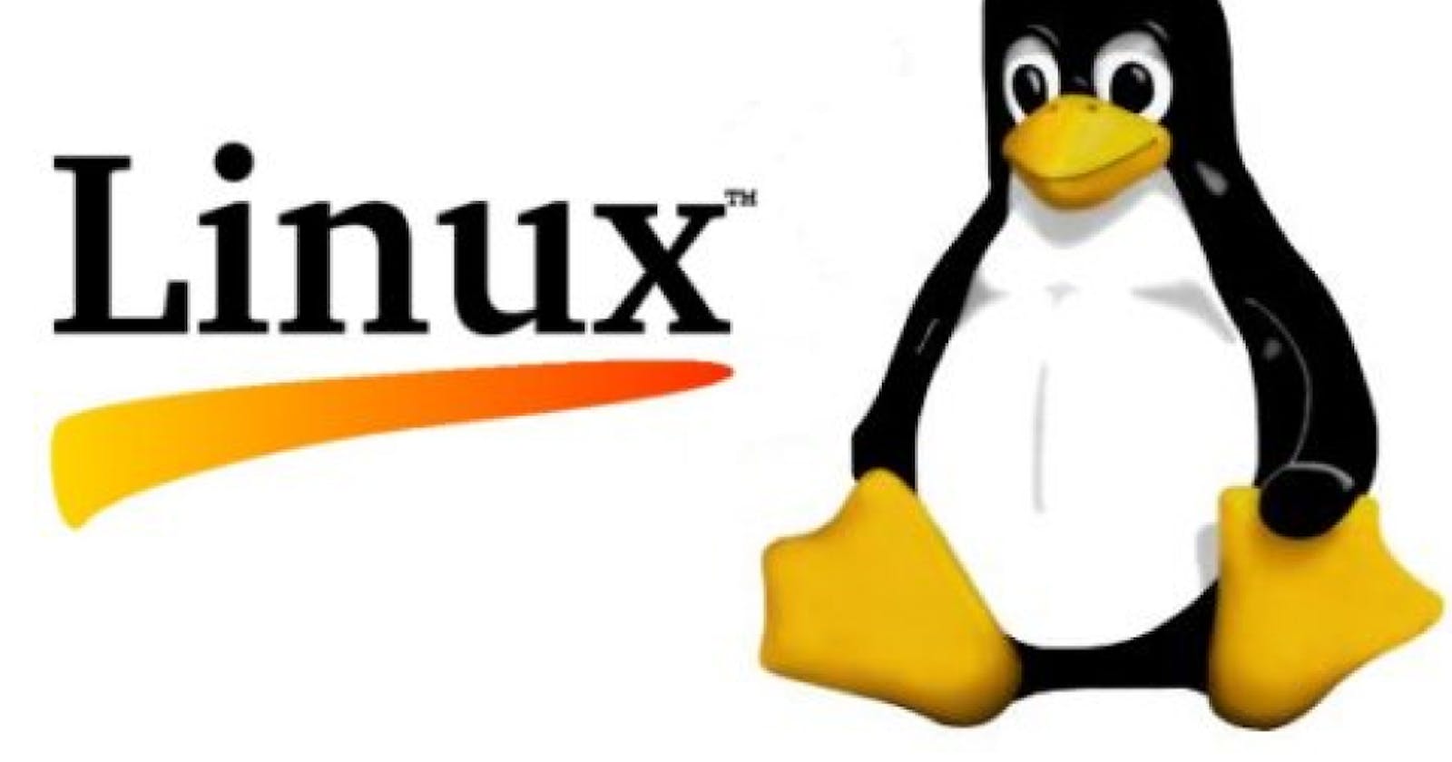 Top 10 Linux Commands You Should Know.
