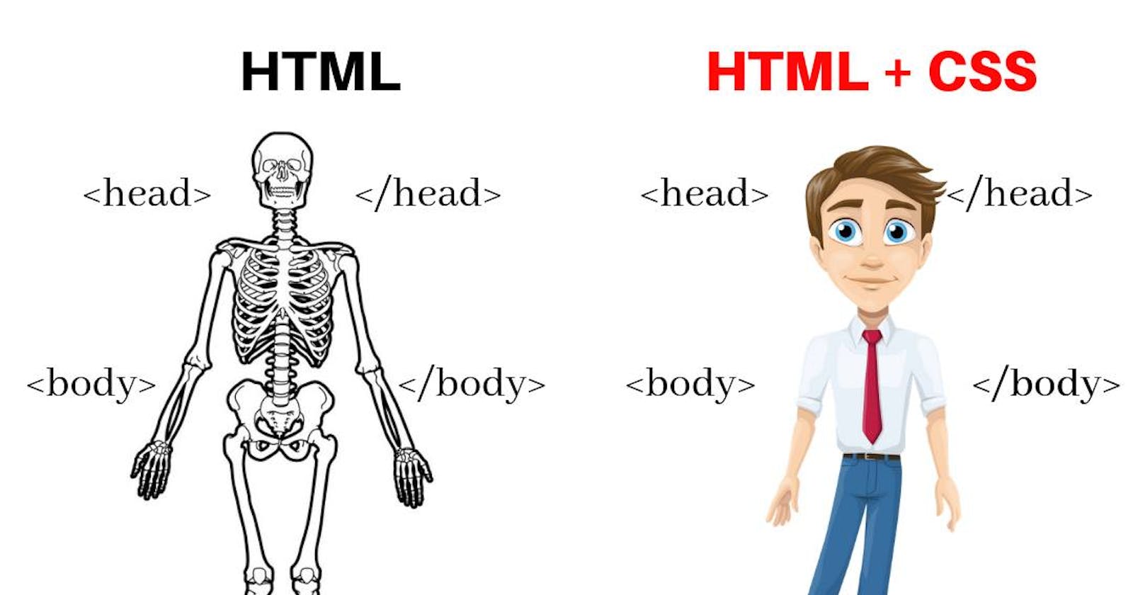 HTML & CSS Fundamentals: A Comprehensive Guide
