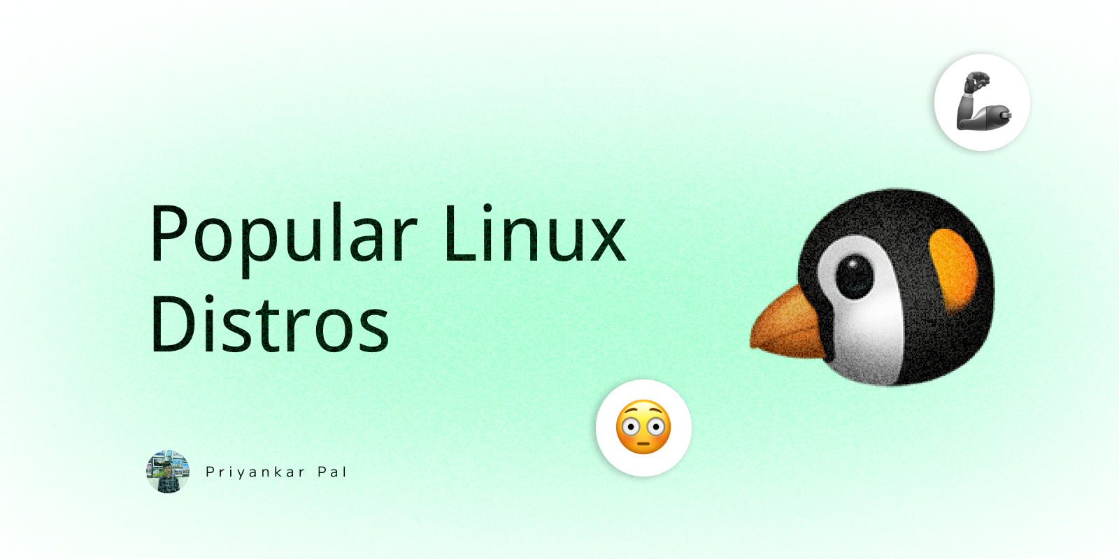 10 most popular Linux distributions, and why they exist