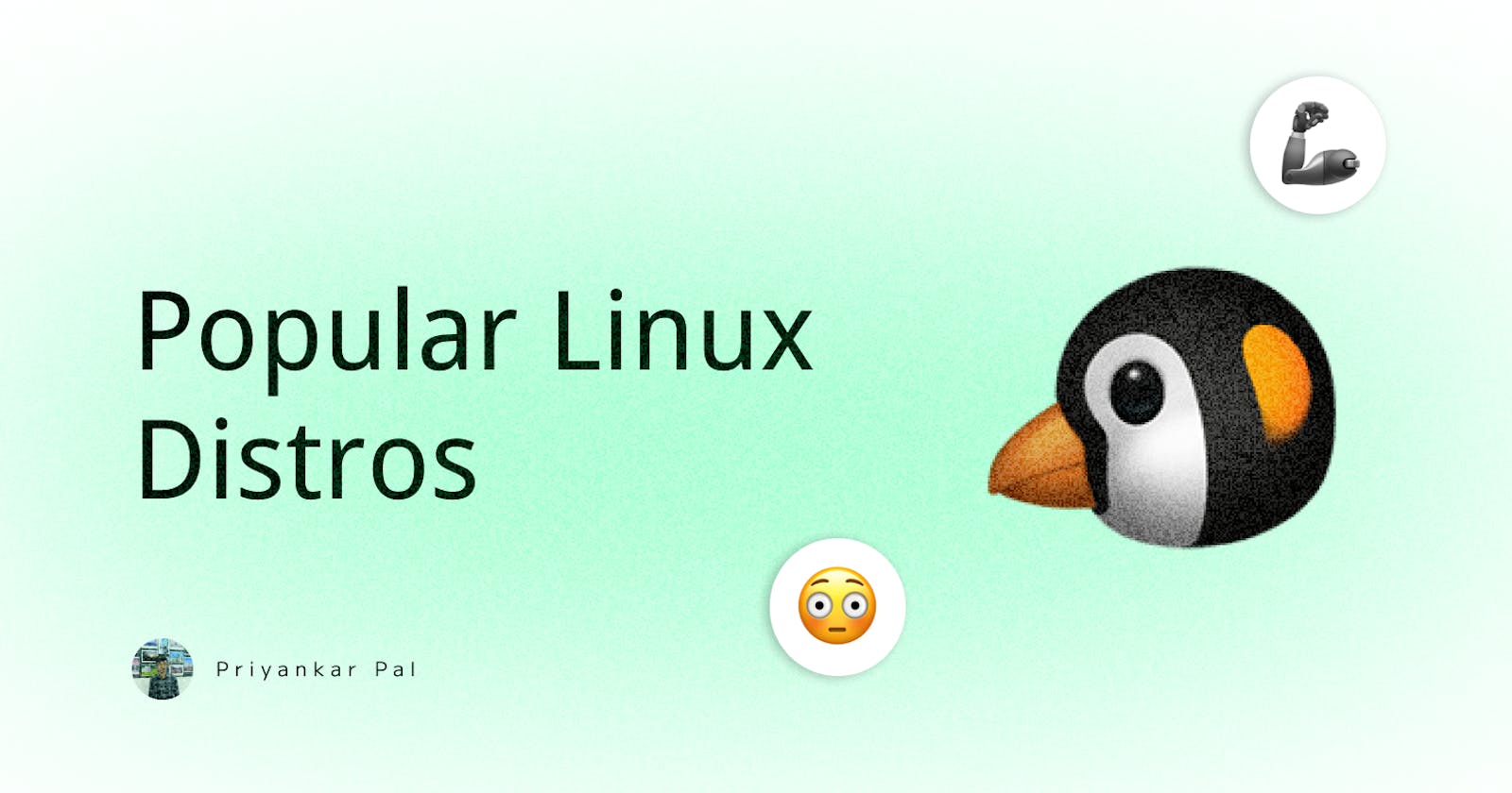A Guide To The 25 Most Popular Linux Distributions 🐧