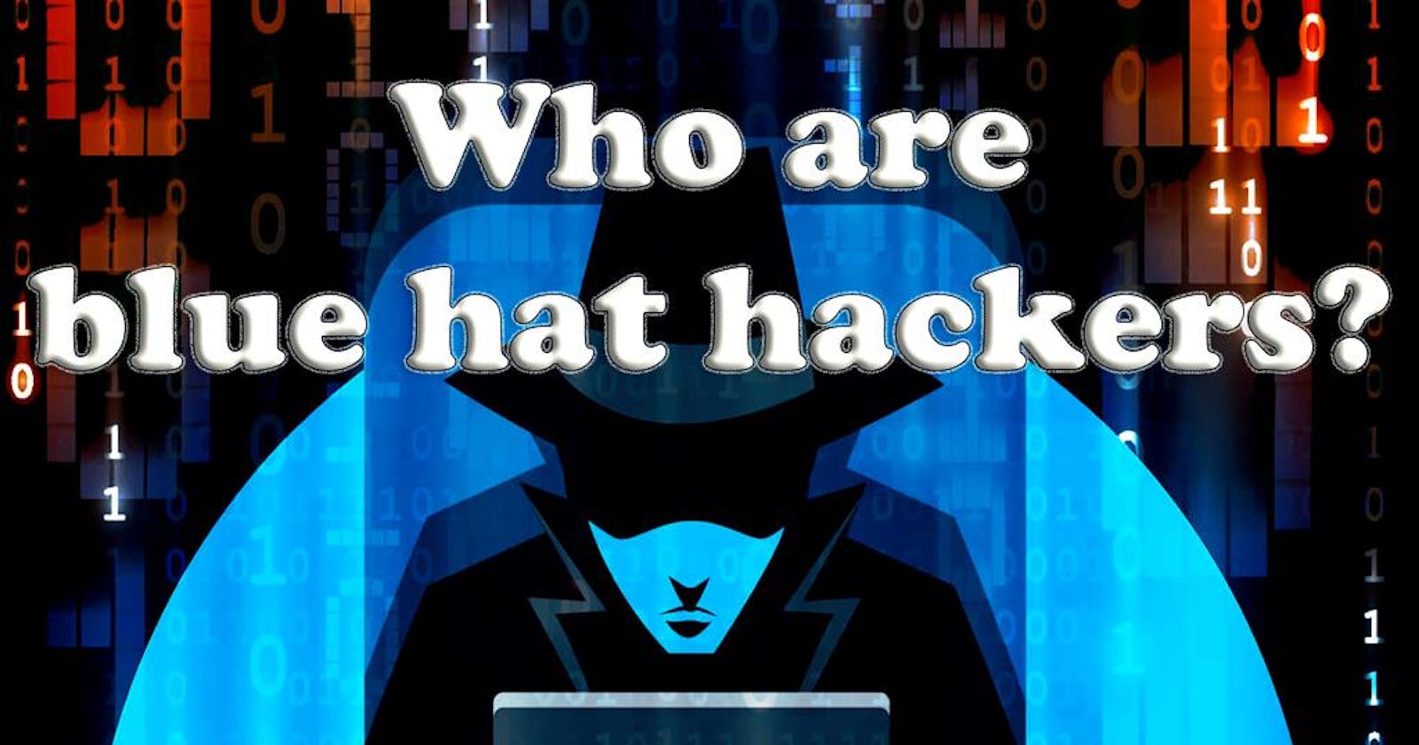Who Are Blue Hat Hackers?
