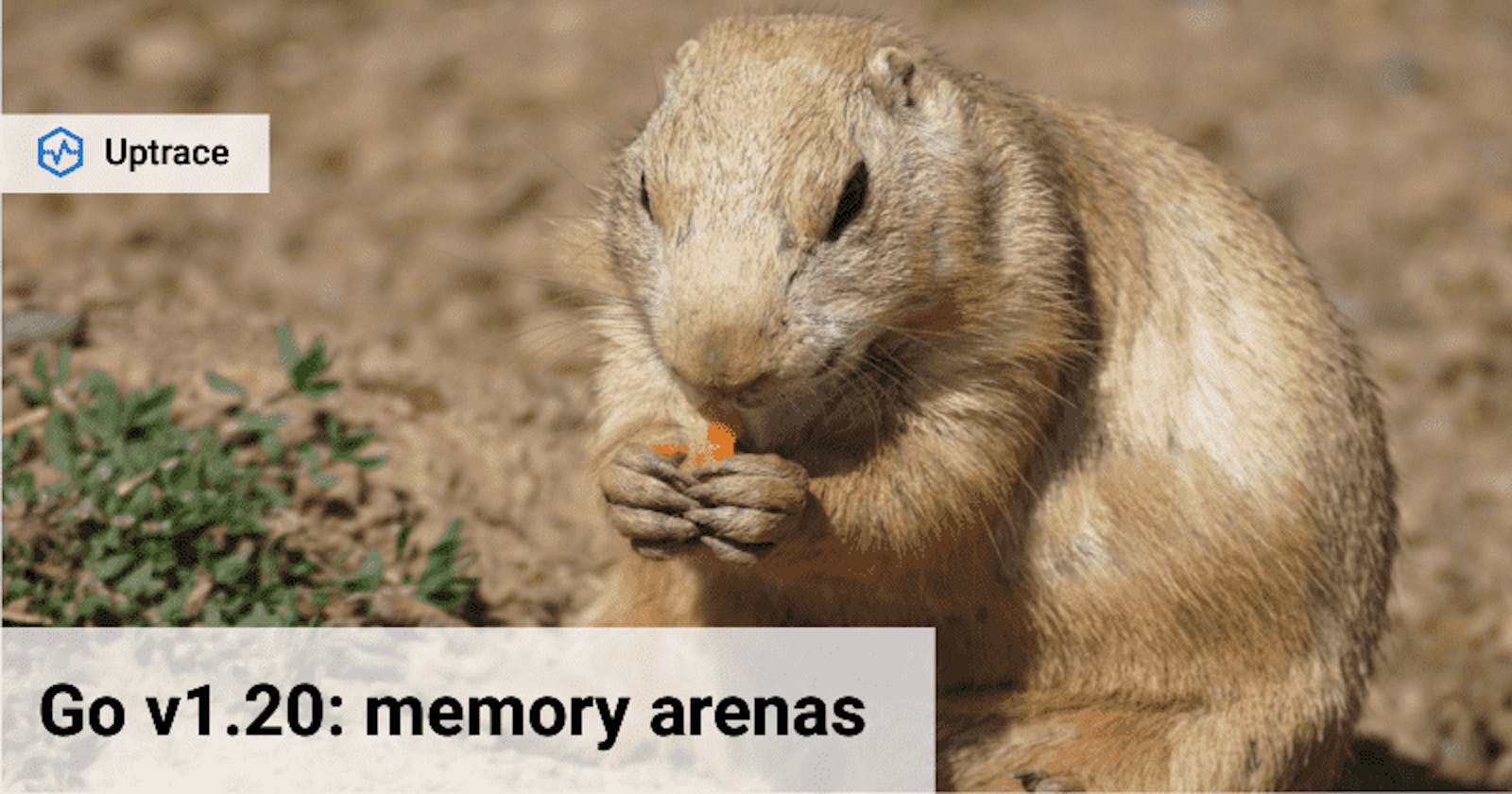 Go 1.20: memory arenas