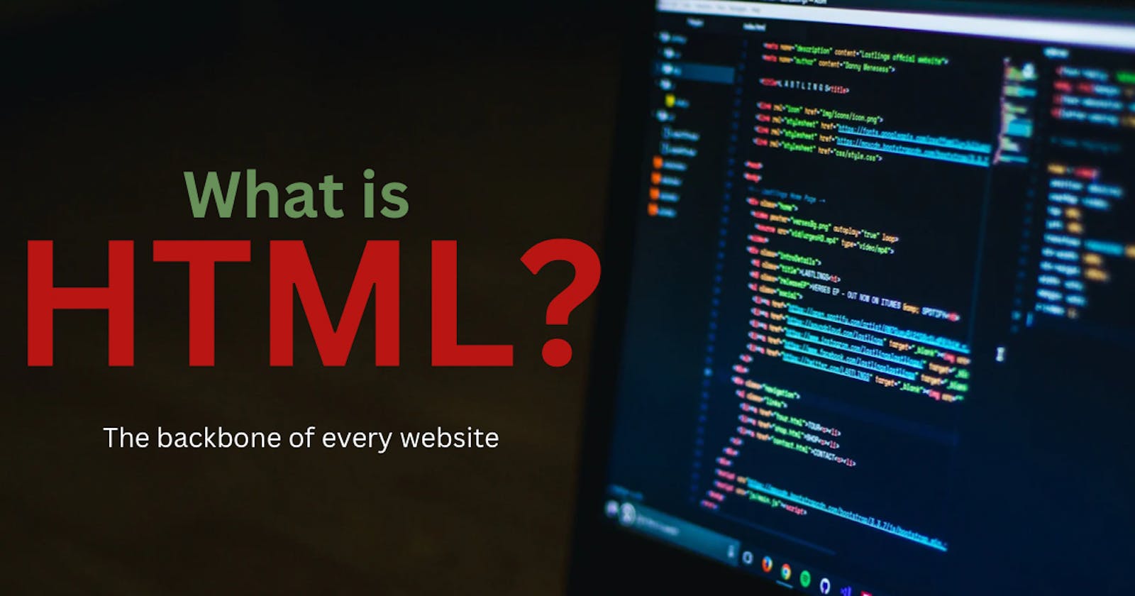 What is HTML? The backbone of every website.