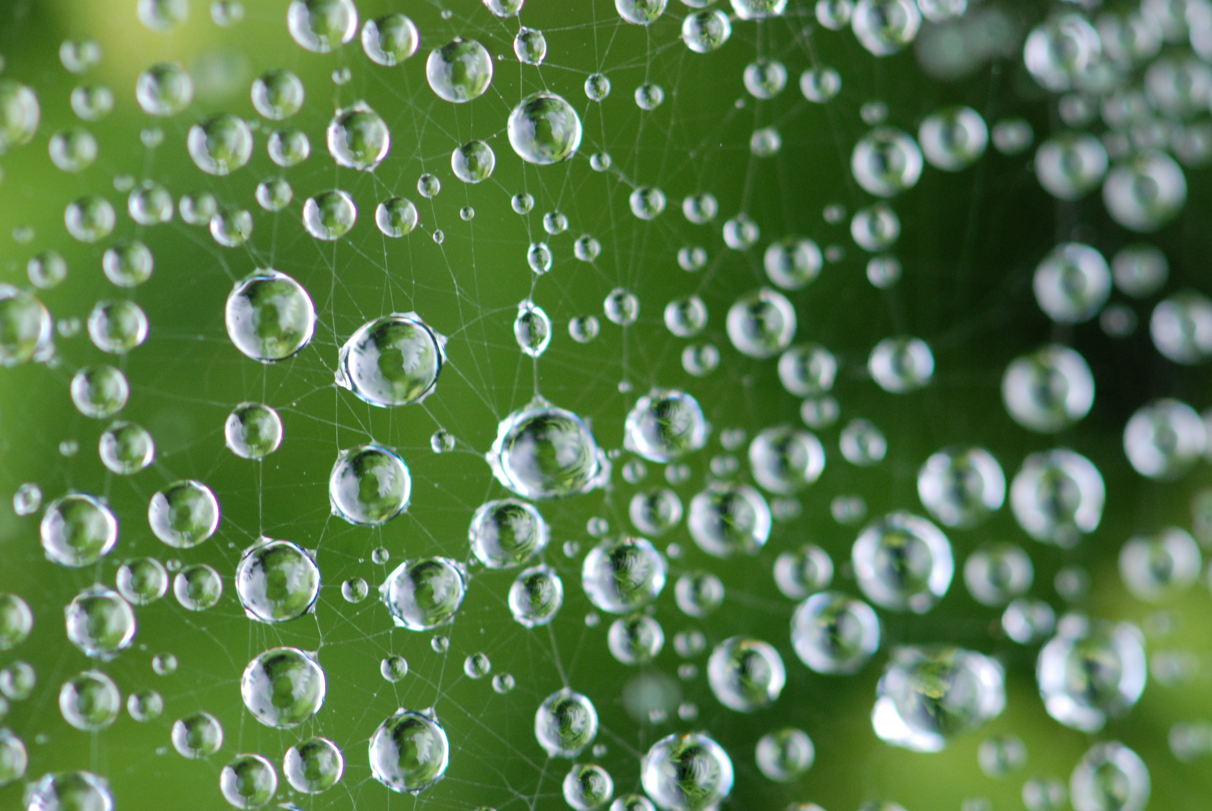 Do you know what graph database is?