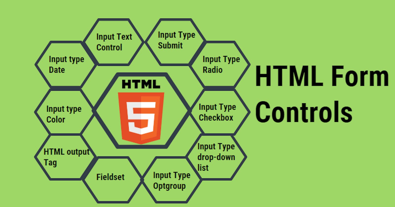 Input Elements in HTML