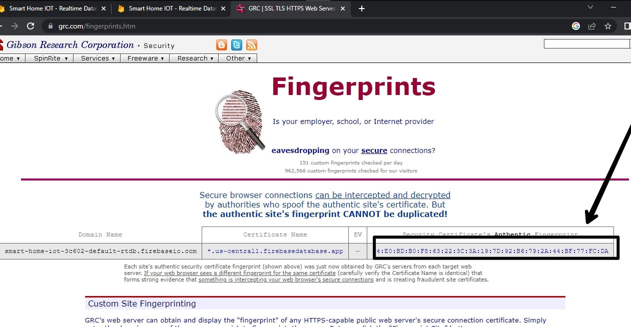 Screenshot of generated fingerprint
