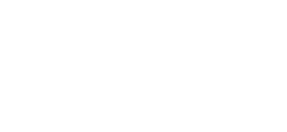 blockVersity