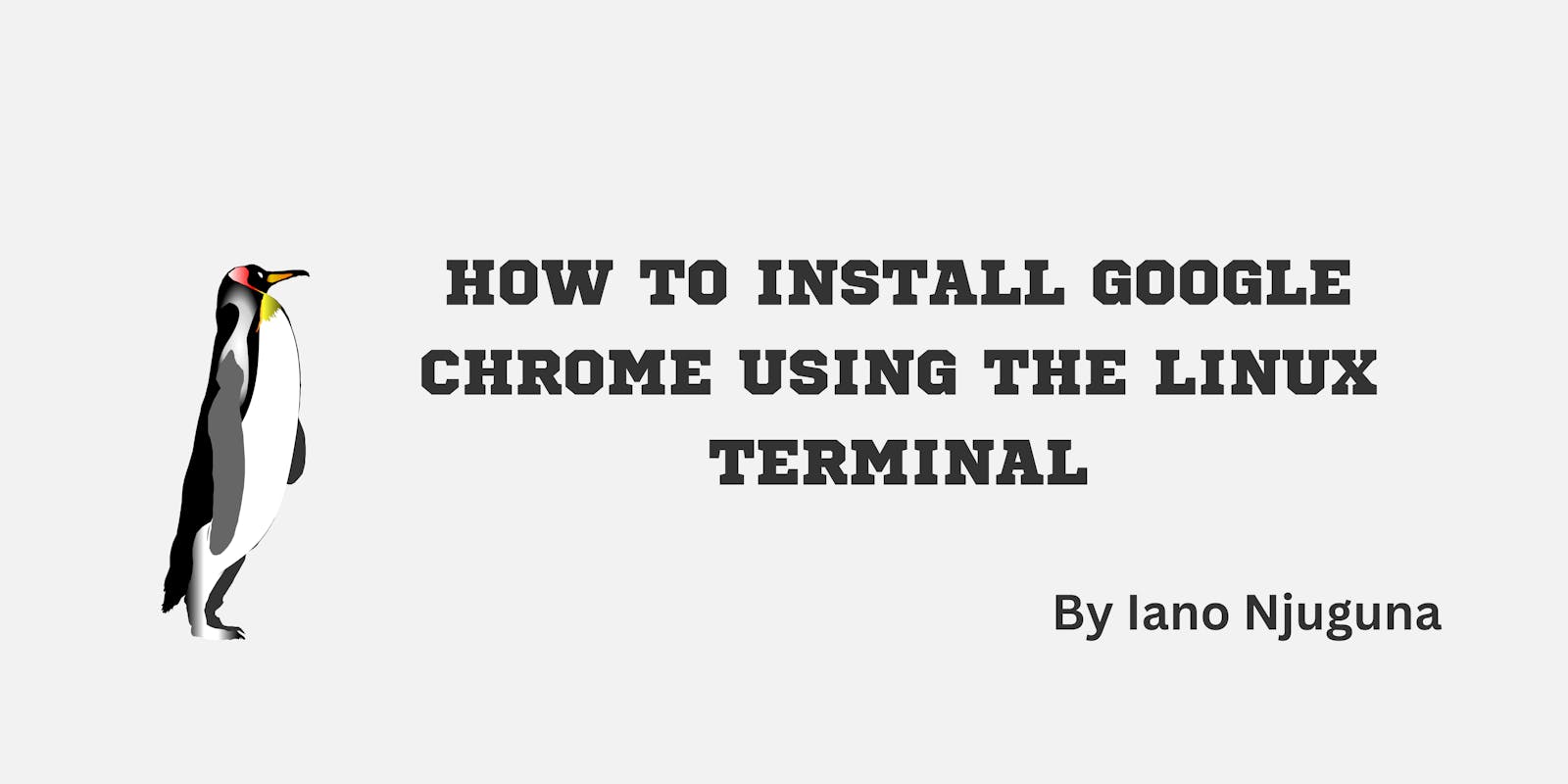 How to Install Google Chrome using the Linux Terminal