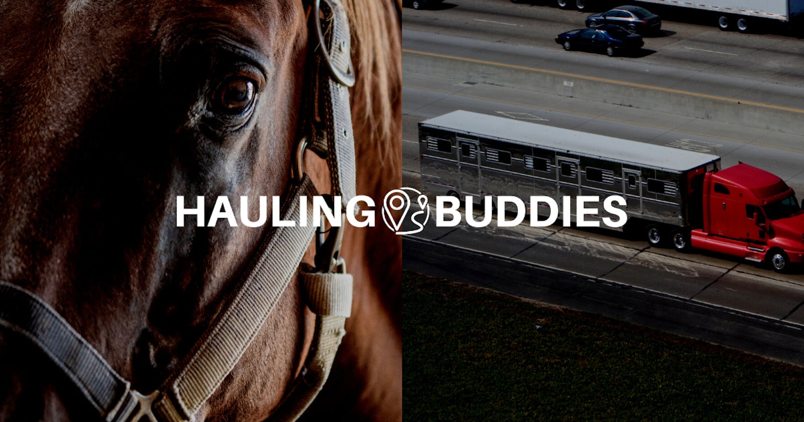 The Importance of Halters in Horse Transport: A Guide for Horse Owners