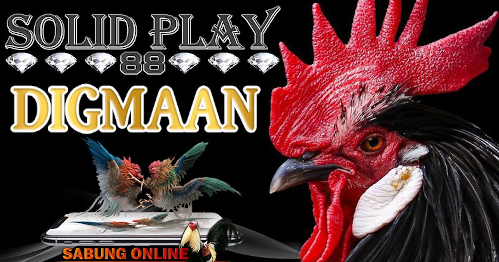 SolidPlay88 Agen Digmaan Situs Daftar Sabung Ayam Online 24 Jam Live Streaming