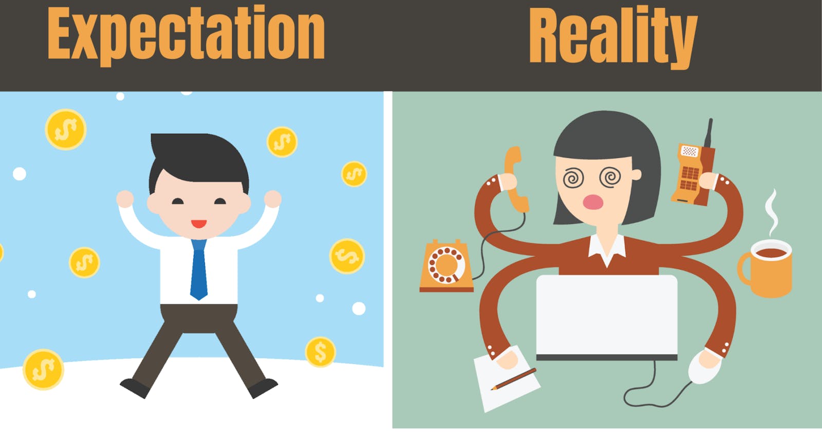 Developer: Expectation vs Reality.
