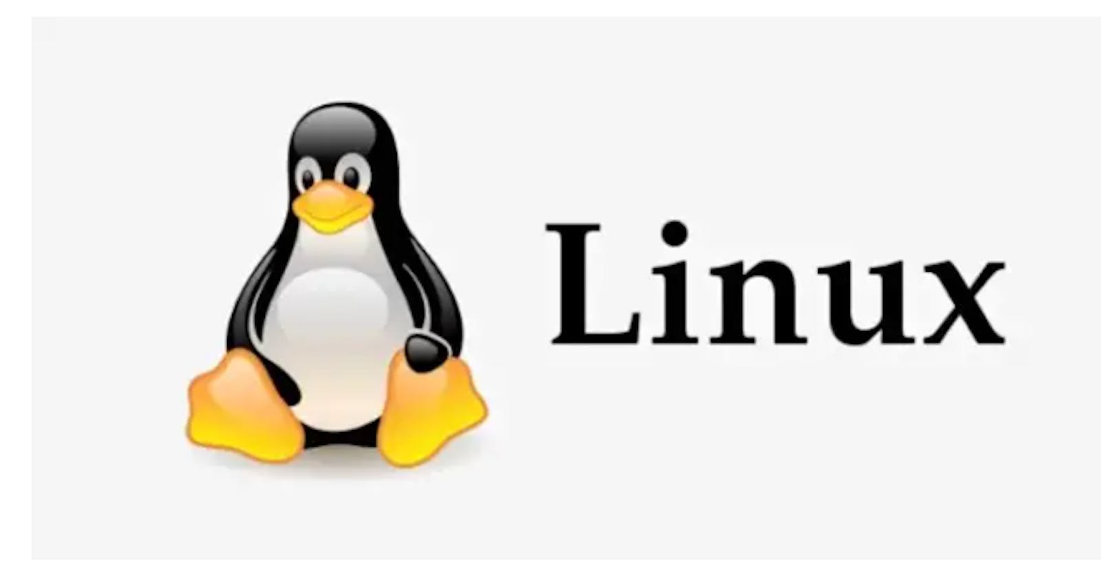 Day 2: Basic Linux Commands