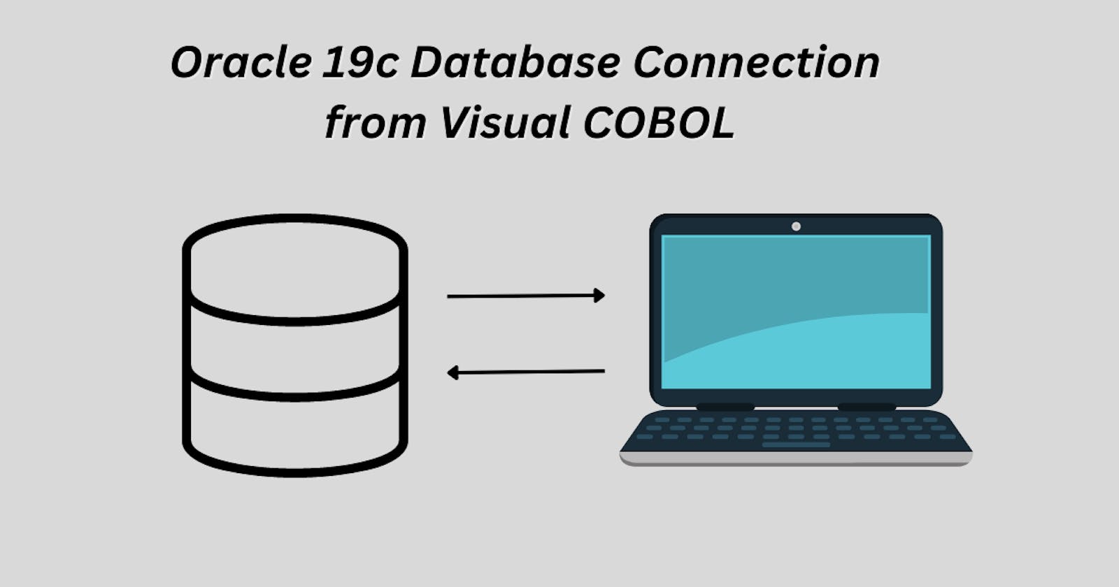 How to Connect Oracle 19c from Micro Focus Visual COBOL 8?
