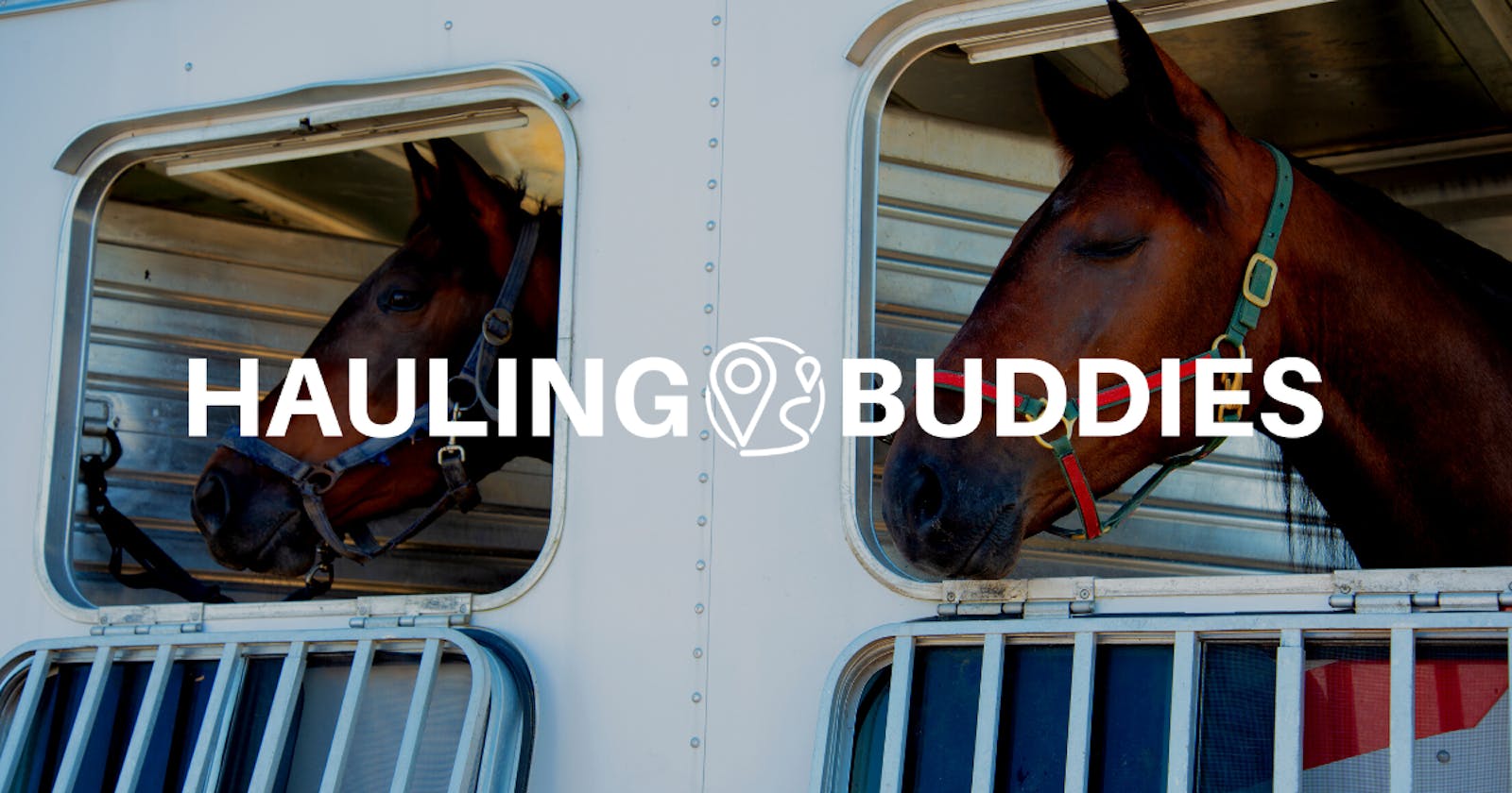 Safe and Successful Horse Transportation: Tips and Checklists for Transport Companies