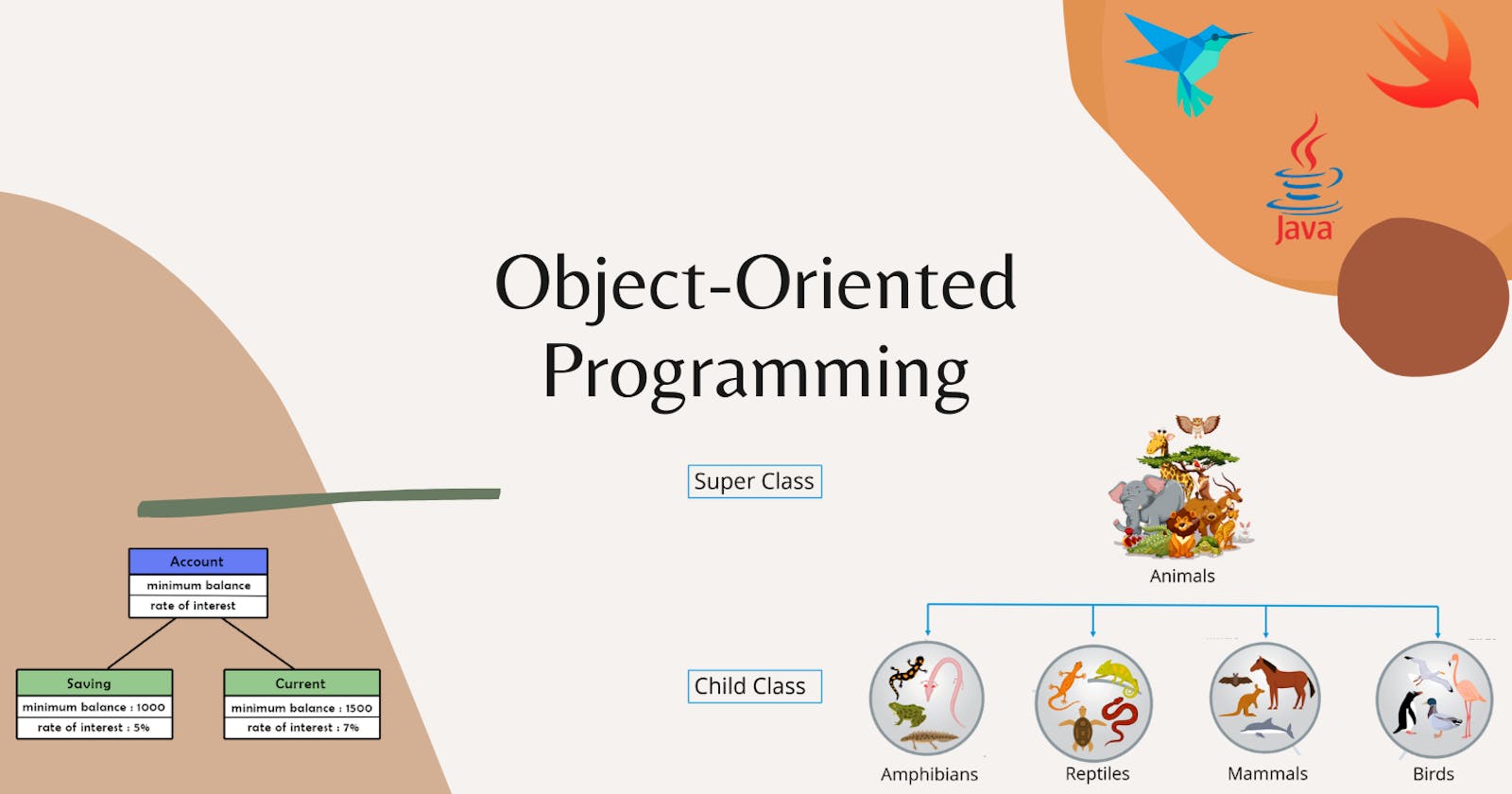 Discover the Magic of Object-Oriented Programming: A Beginner's Guide to OOP Mastery