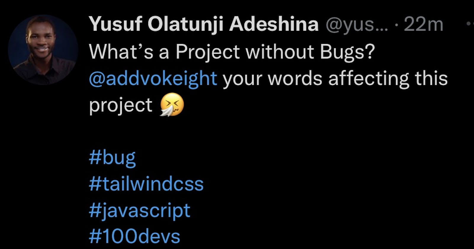 What is a Project without Bugs?
