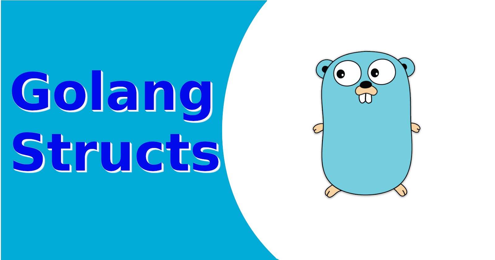 Golang Structs