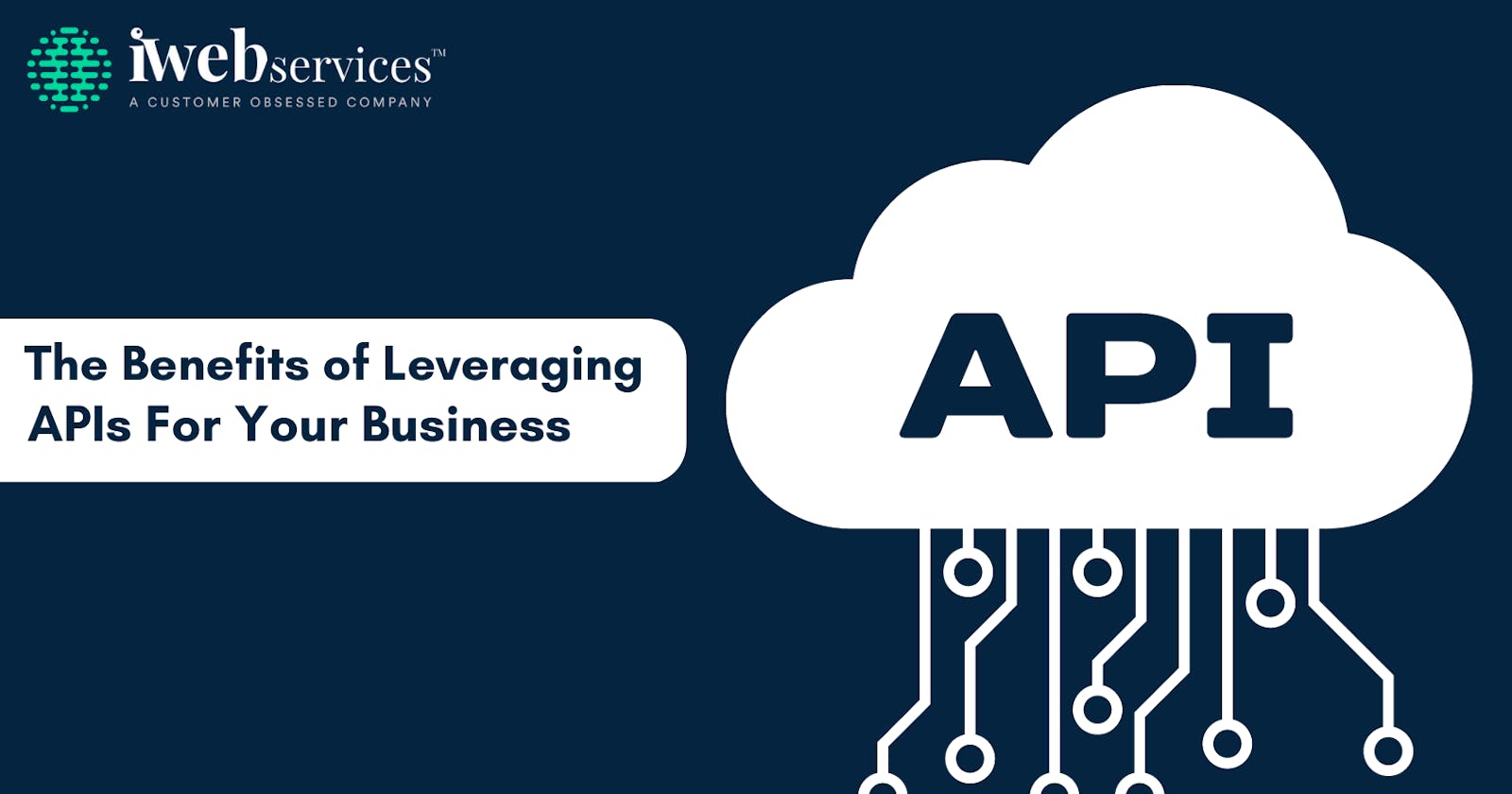 The Benefits of Leveraging APIs For Your Business
