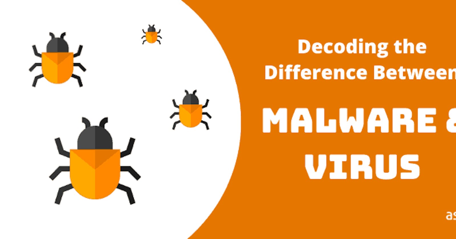 Differences between Malware and Virus.