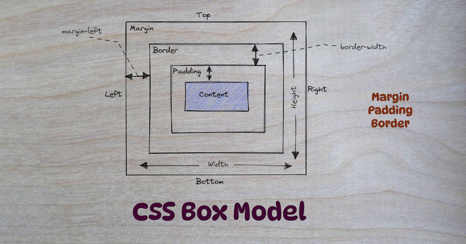 Easy way to understand CSS Box Model...