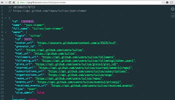 JSON Viewer chrome extension