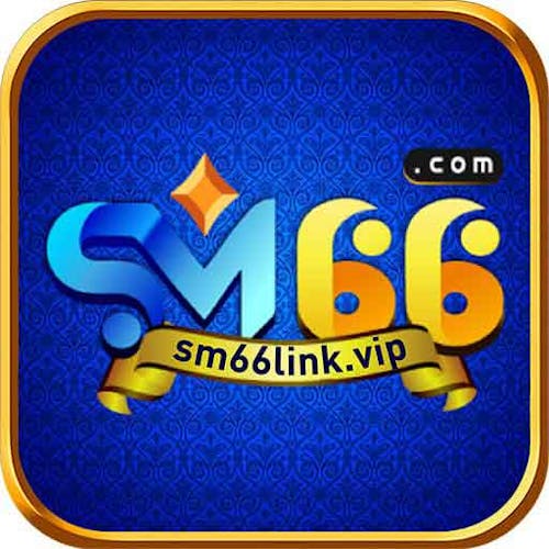 SM66 LINK's photo