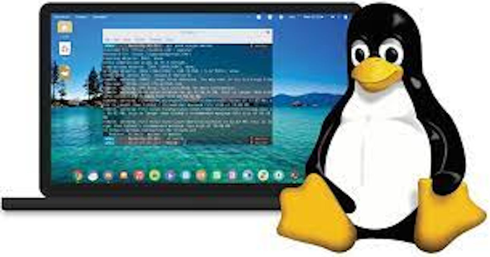Commonly Used Linux Commands: File, Searching, System Information, and Networking Commands