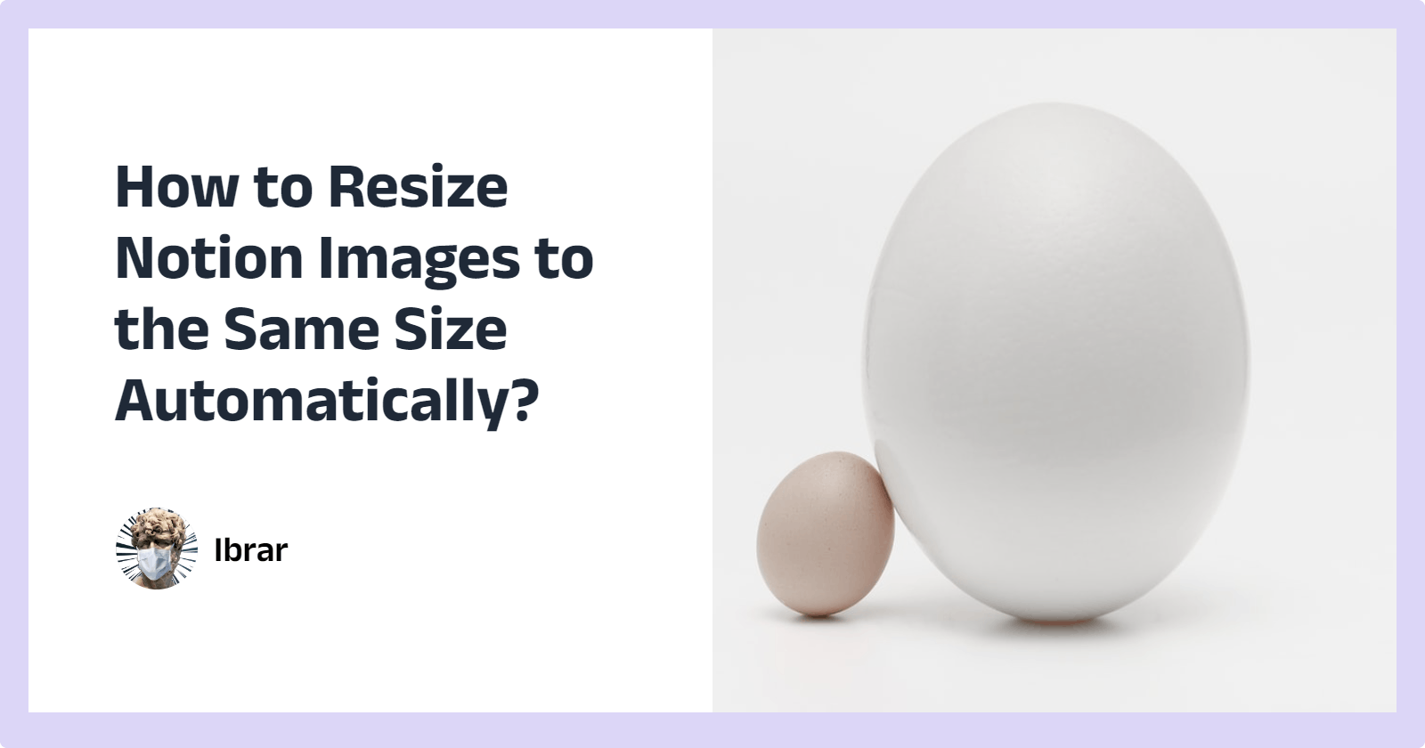How to Resize Notion Images to the Same Size Automatically?