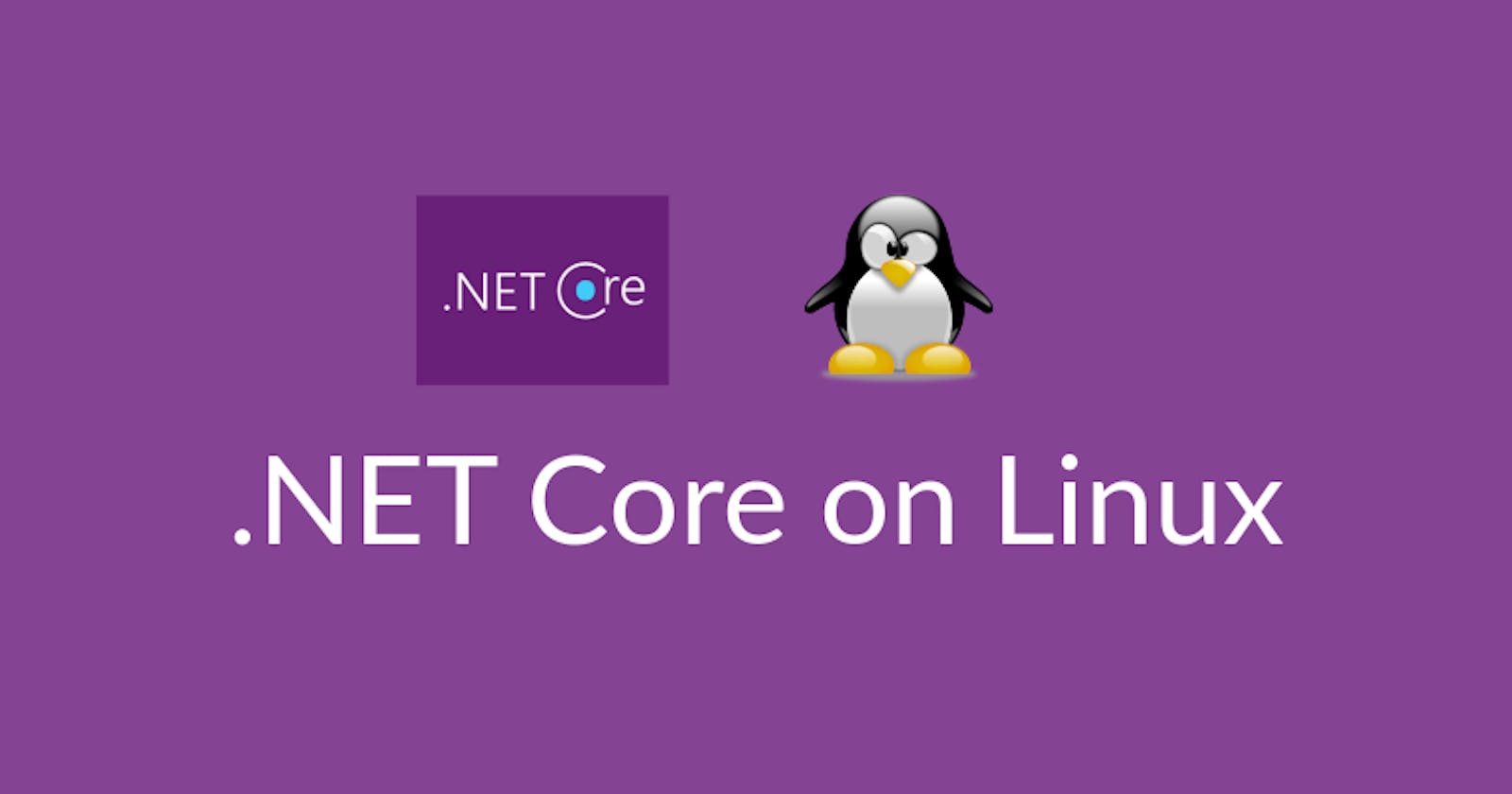 Developing a .NET core console application on Linux