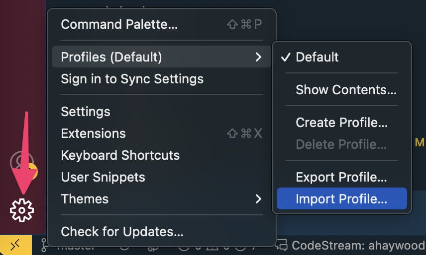 Import Profile within VS Code