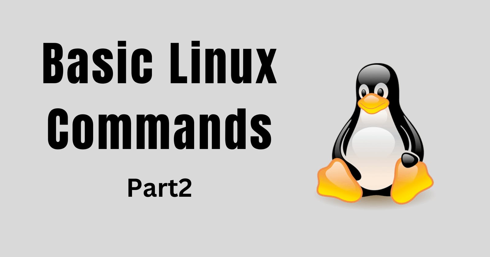 Day 3 Task: Basic Linux Commands