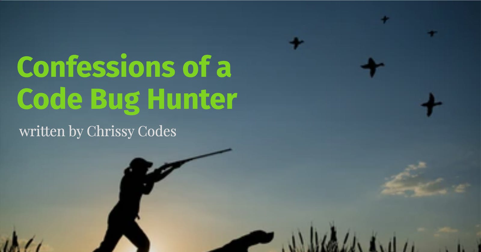 Confessions of a Code Bug Hunter