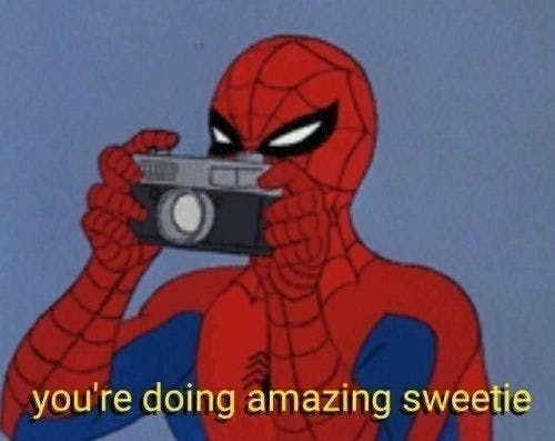 Spiderman holding camera in hand with text "you're doing amazing sweetie" under the photo