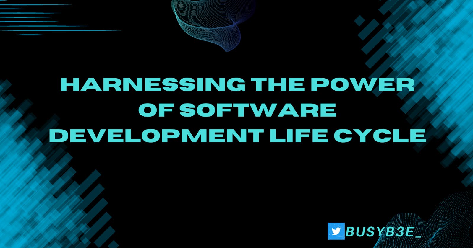 Harnessing the Power of the Software Development Life Cycle