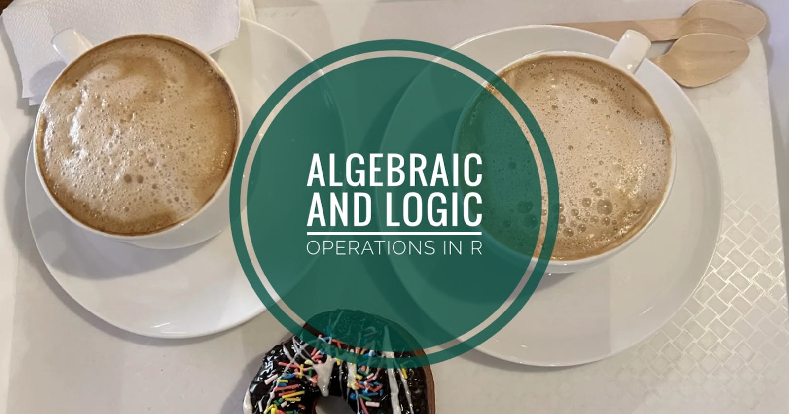 Algebraic and logic operations in R