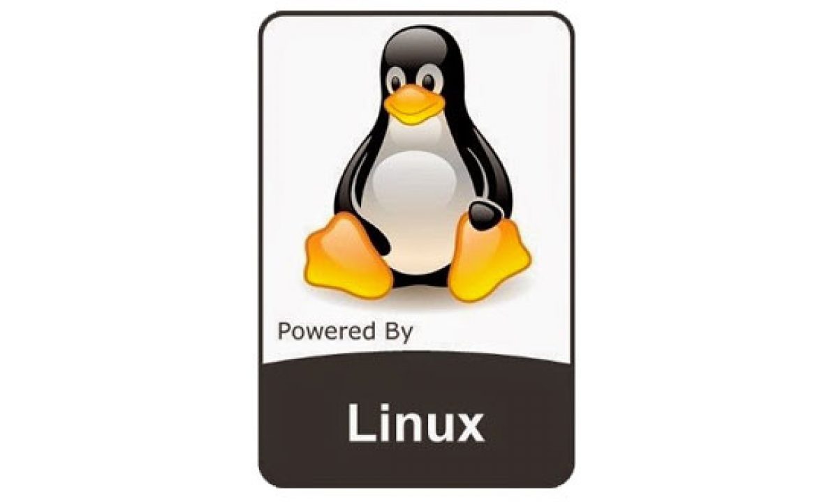 Basic Linux Commands