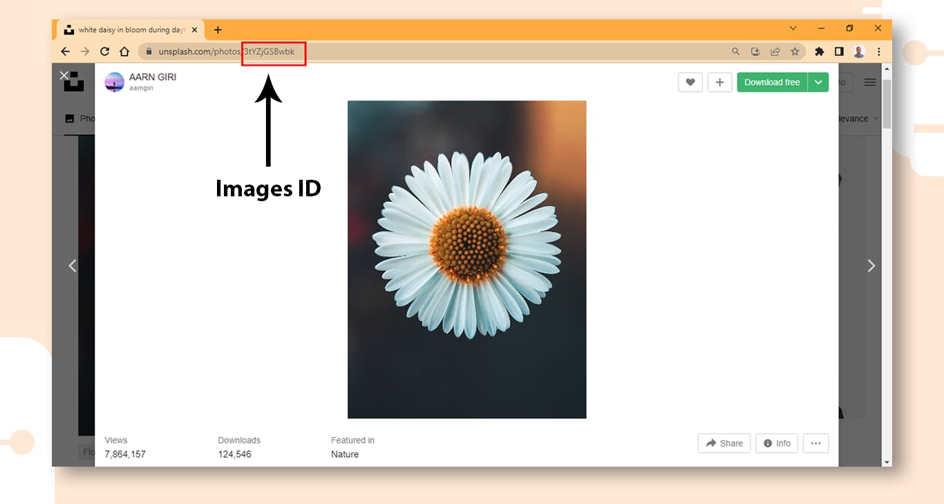 How to link Image from Unsplash