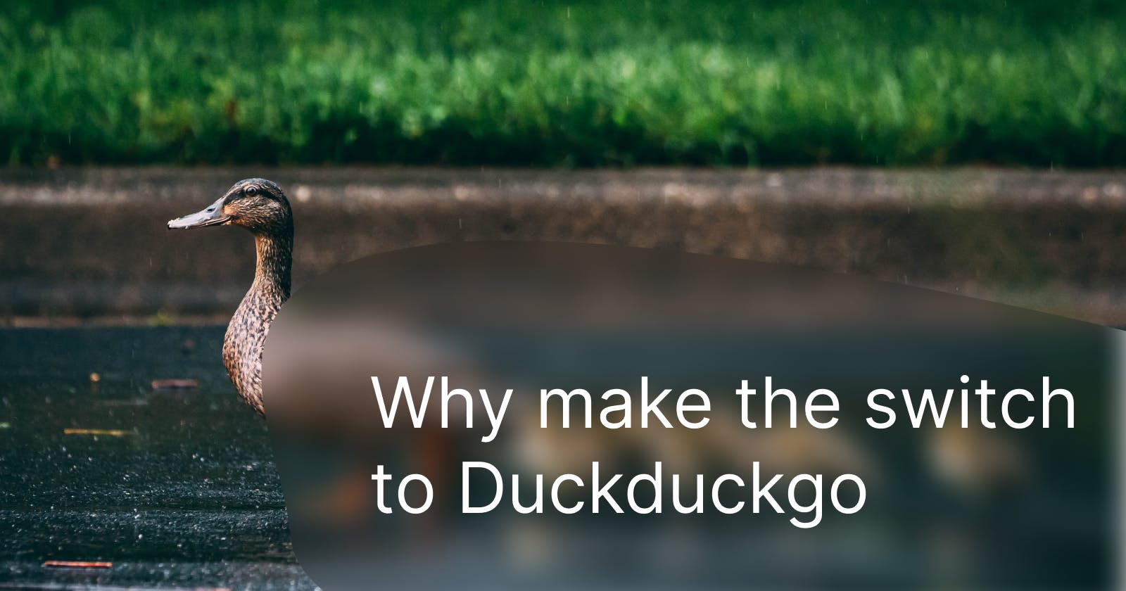 Why switch to duckduckgo