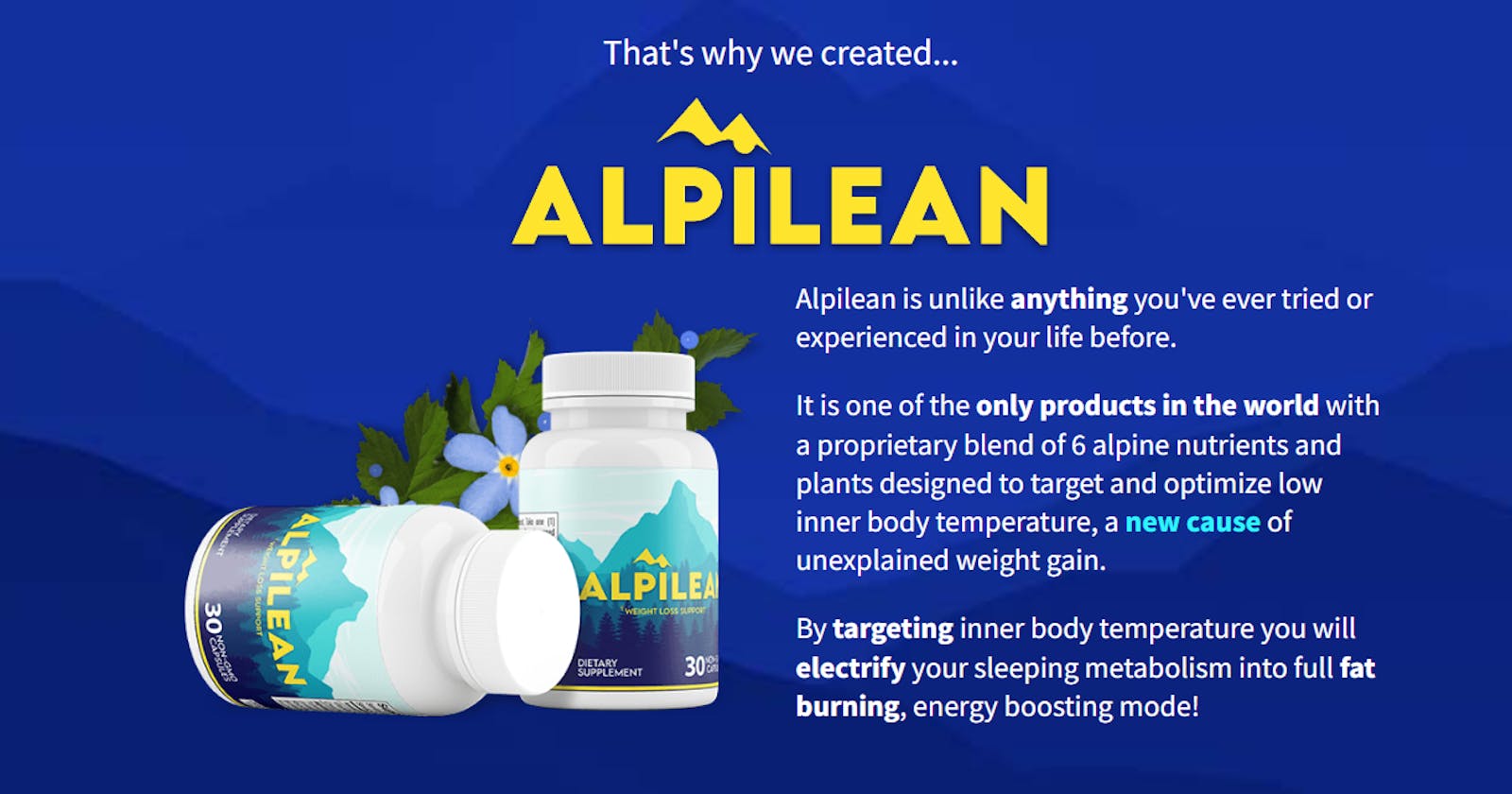 Alpilean Review | Beware Of Fake Results |Latest Update 2023