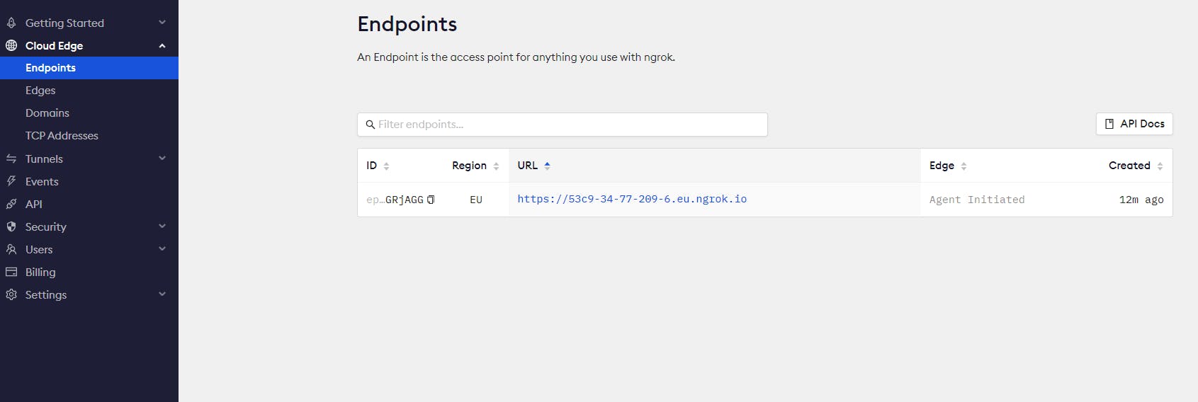ngrok dashboard - endpoints page